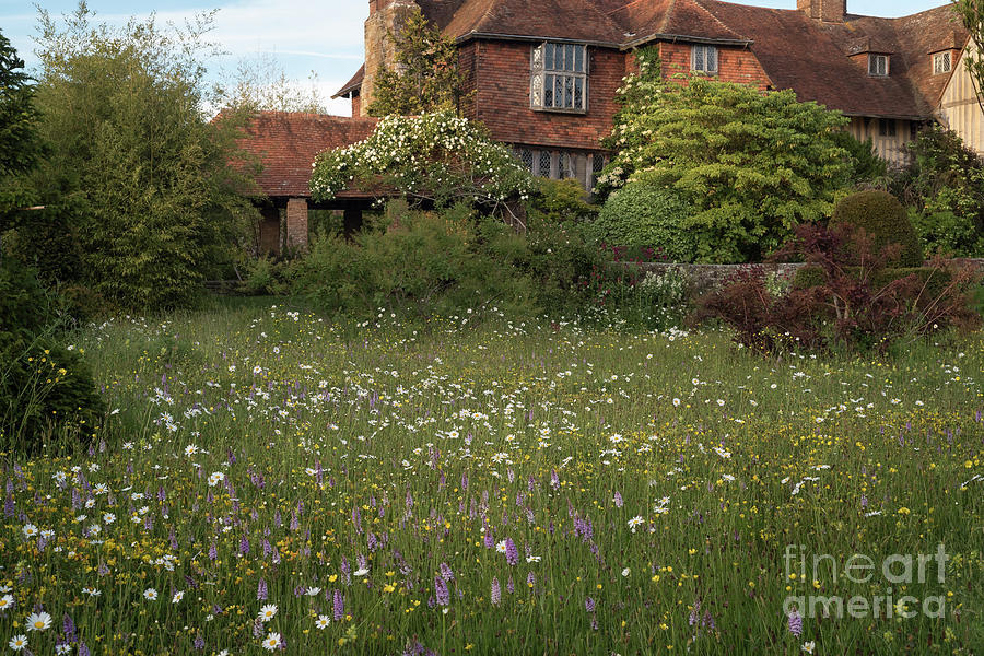 Wildflower Meadow, Great Dixter Photograph by Perry Rodriguez Wildflower Meadow, Great Dixter Photograph by Perry Rodriguez