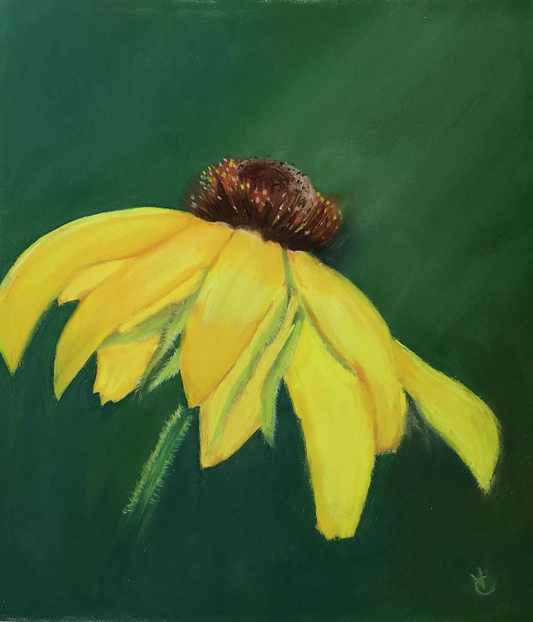 Wildflower by Virginia Craig Wildflower by Virginia Craig
