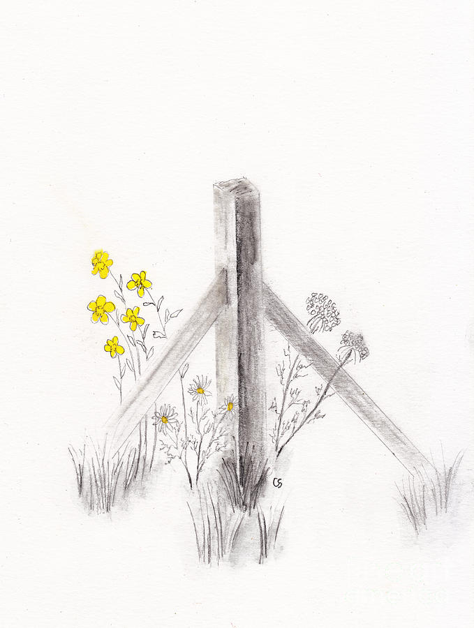 Wildflowers and Fence Post Drawing by Conni Schaftenaar