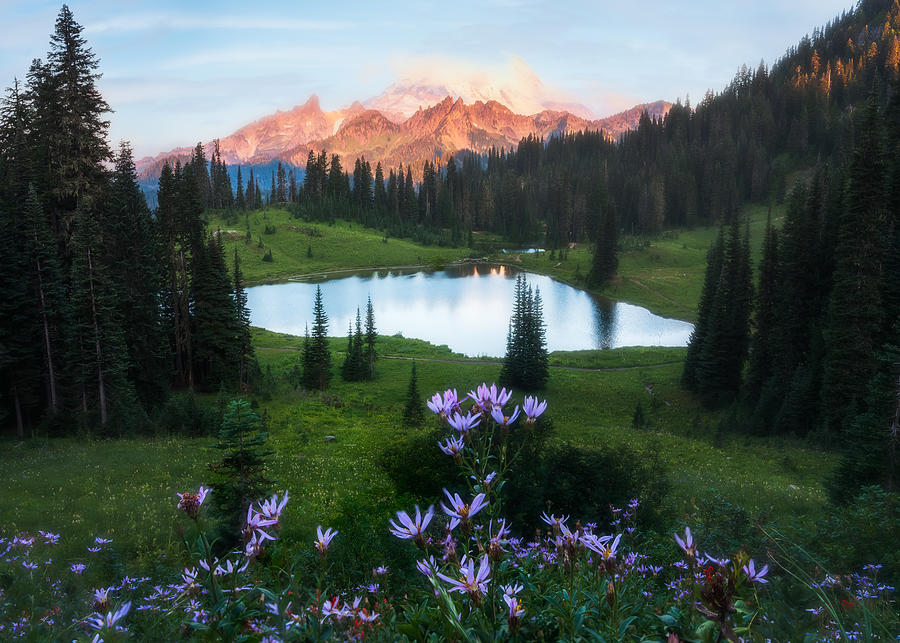 Wildflowers And Snow Mountain Photograph by Ken Liang