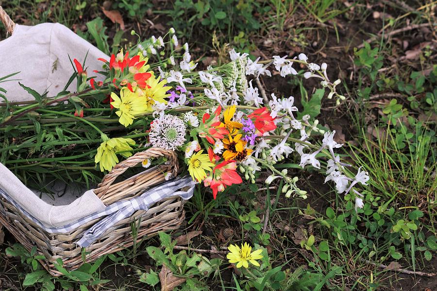 Wildflowers in a Basket by Sheila Brown Wildflowers in a Basket by Sheila Brown