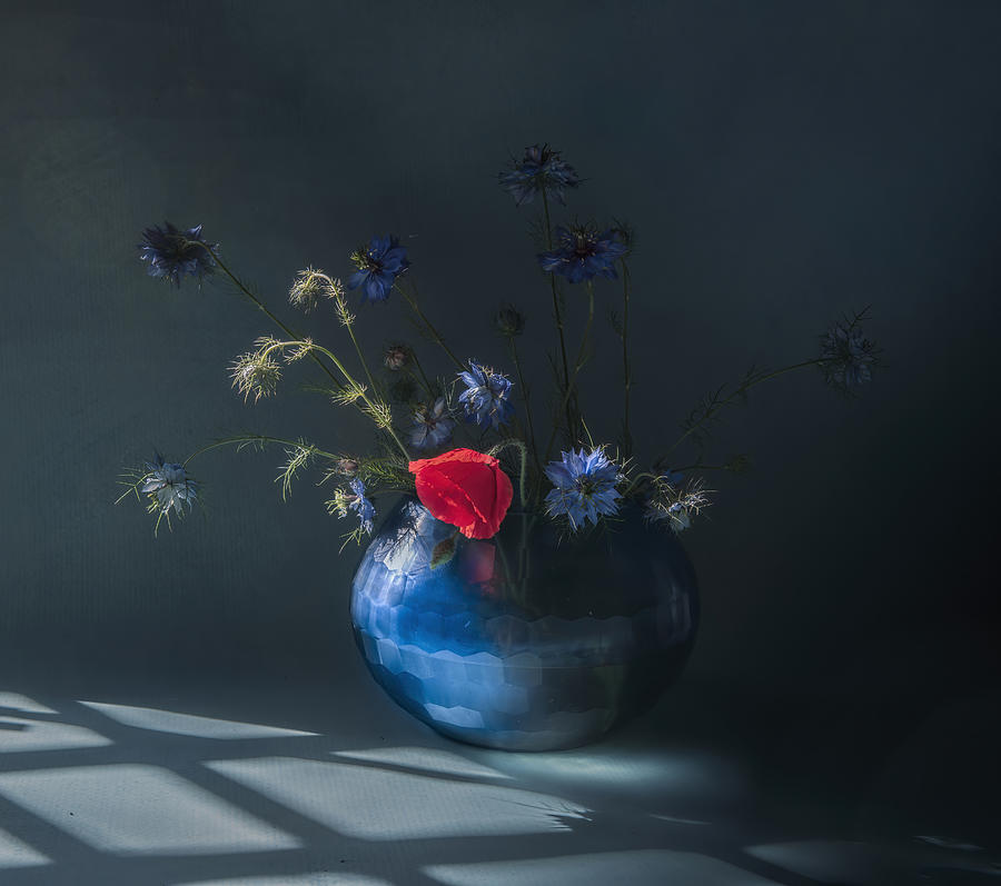 Still Life Photograph - Wildflowers by Judy Tseng