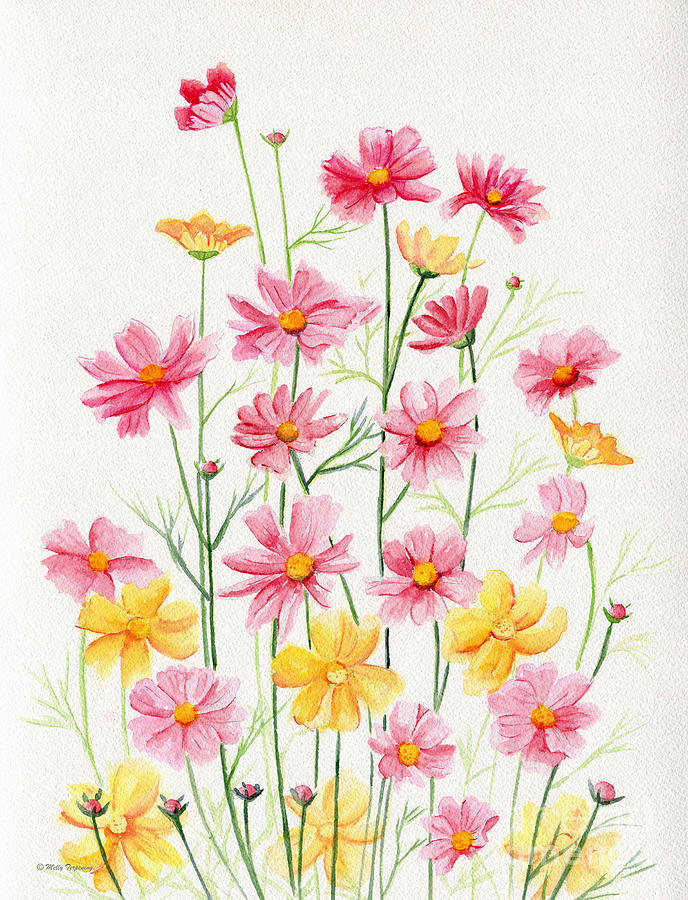 Flower Painting - Wildflowers by Melly Terpening