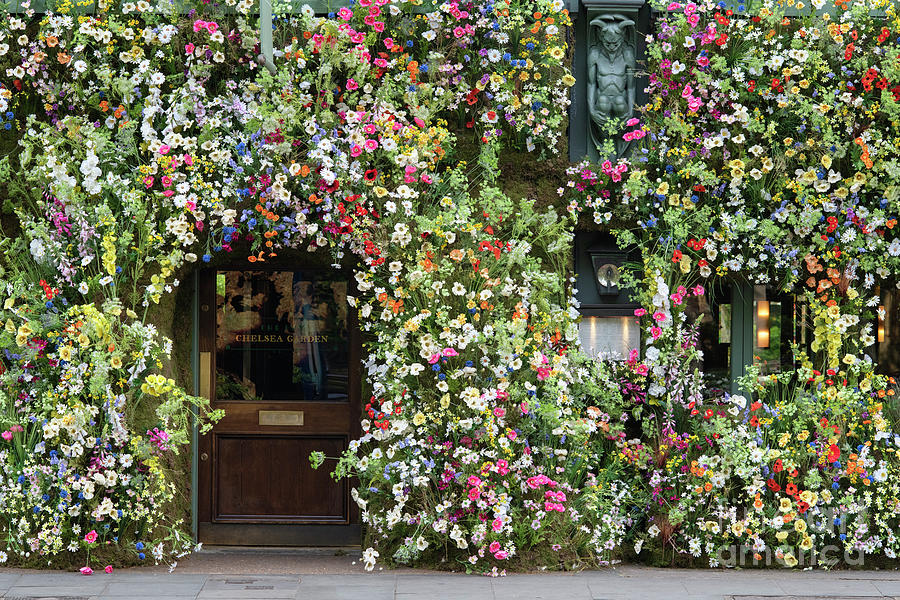 London Photograph - Wildflowers on The Ivy Kings Road London by Tim Gainey