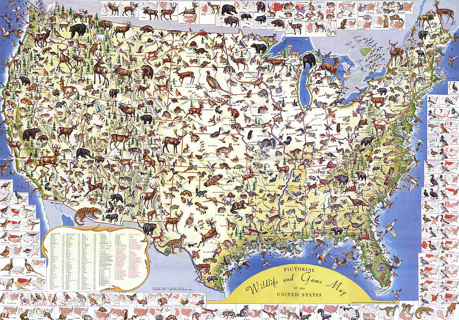 Wildlife and Game Map of the United States Painting by Ira Moss