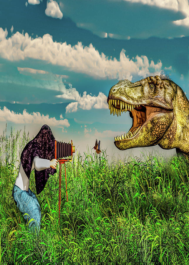 Wildlife Photographer by Bob Orsillo Wildlife Photographer by Bob Orsillo