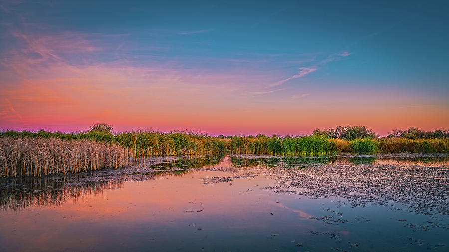 Wildlife Refuge Bog Photograph by Bob Juarez - Fine Art America