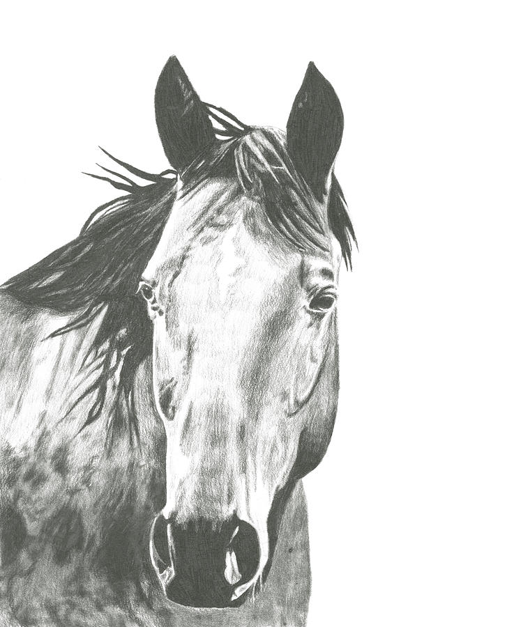 Abstract Painting - Wildlife Snapshot: Horse I by Naomi Mccavitt