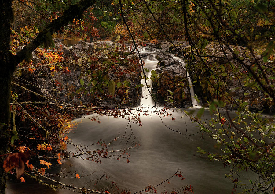 Wildwood Falls 1 Photograph by Lara Ellis