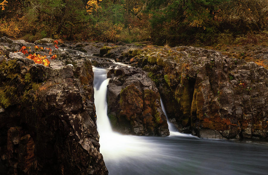 Wildwood Falls Oregon 2 Photograph by Lara Ellis