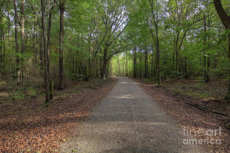 Horizontal Photograph - Wilhelmina Conservation Area by Larry Braun Horizontal Photograph - Wilhelmina Conservation Area by Larry Braun