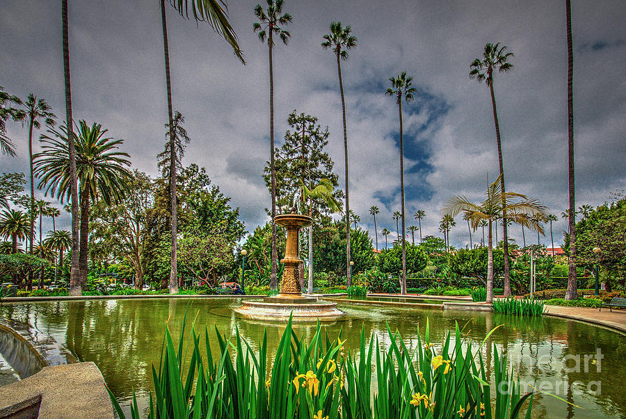 Will Rogers Park Beverly Hills Photograph