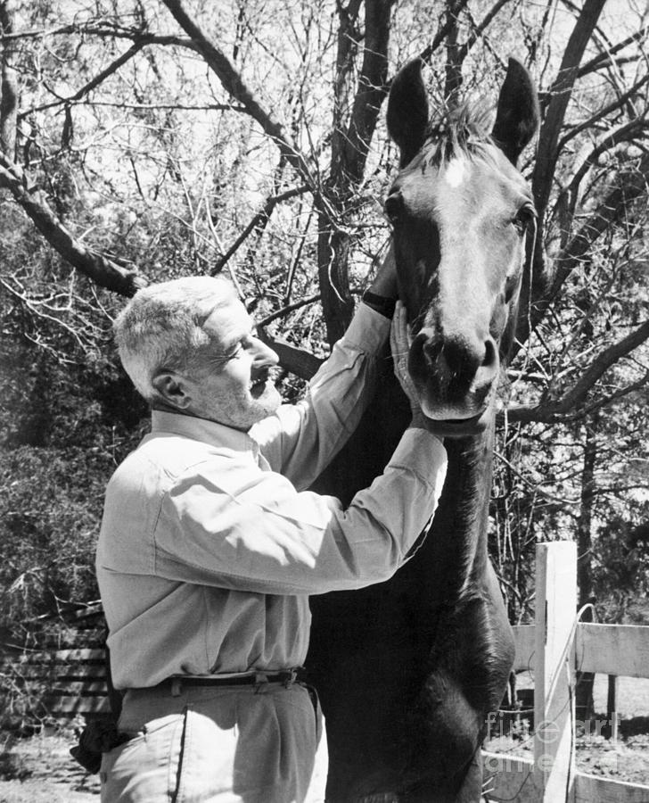 William Faulkner Petting Horse Photograph by Bettmann