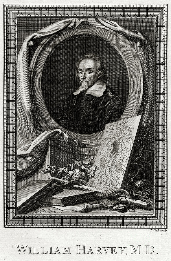 William Harvey, 1777. Artist Thomas Cook Drawing by Print Collector