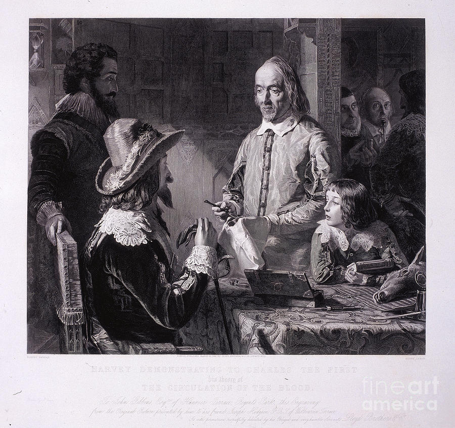 William Harvey Demonstrating To King Drawing by Print Collector