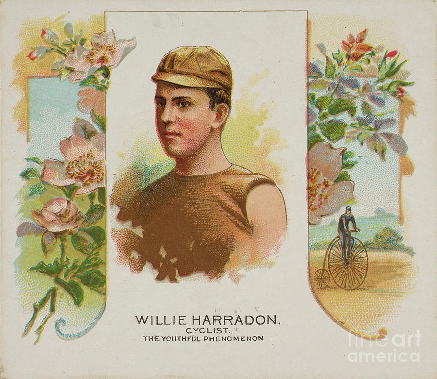 Willie Harradon Drawing by Heritage Images