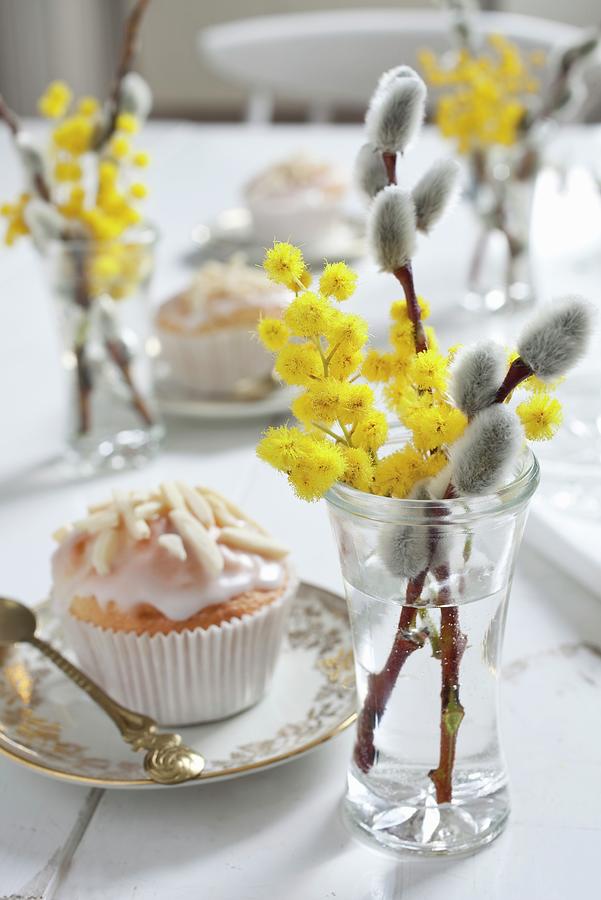 Willow Catkins And Mimosa Flowers In Glasses And Muffin On Easter Table Photograph by Pia Simon