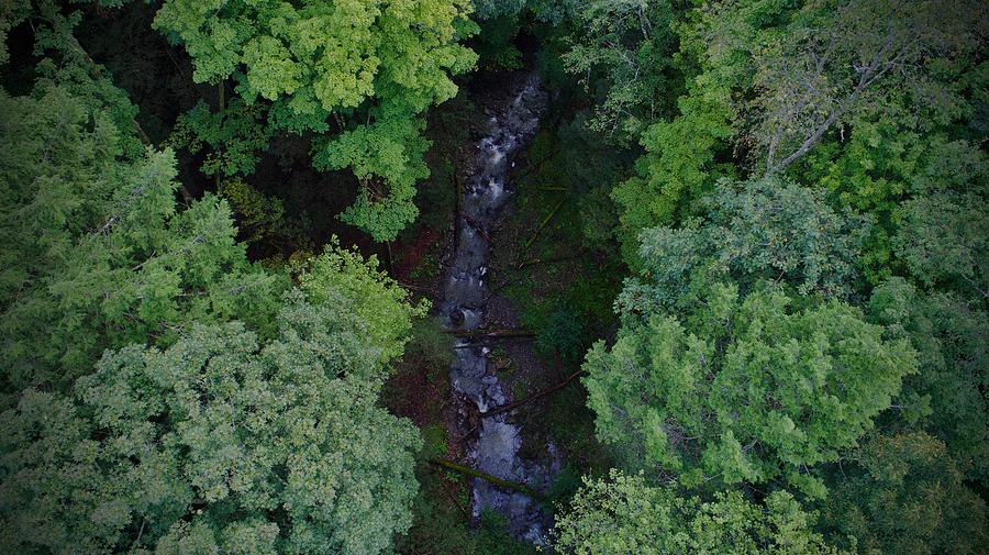 Willow Run Creek Photograph by Anthony Giammarino