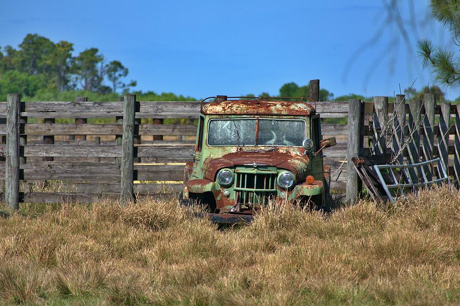 Willys Rusting At The Ranch Photograph by Don Columbus