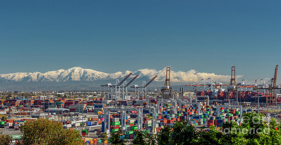Wilmington Containers Cranes Vista Photograph by David Zanzinger