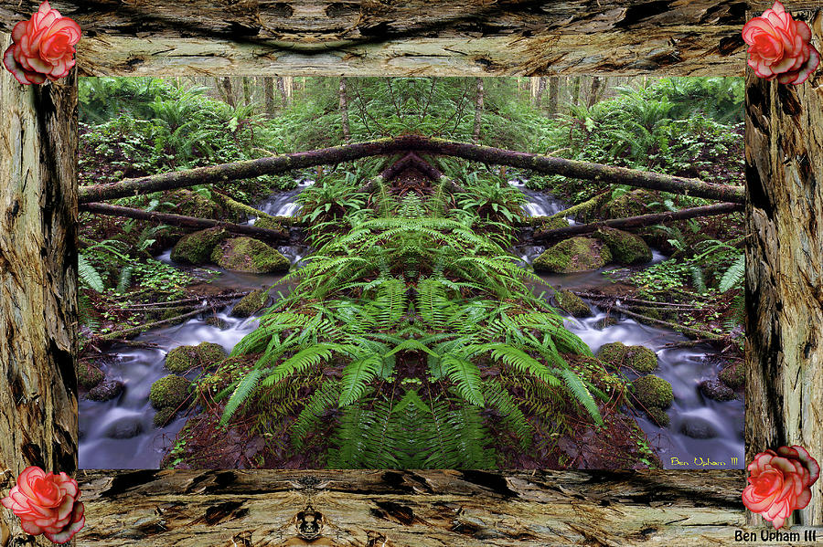 Wilson Creek Mirror Art 2019 #2 with a Redwood Frame Photograph by Ben Upham III
