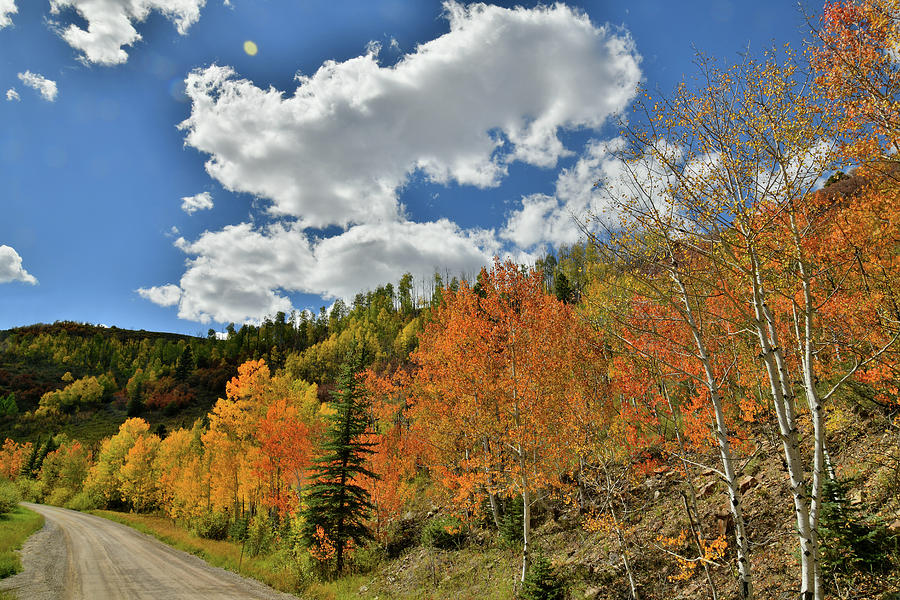 Wilson Mesa Ranch Loop Road in Fall Photograph by Ray Mathis