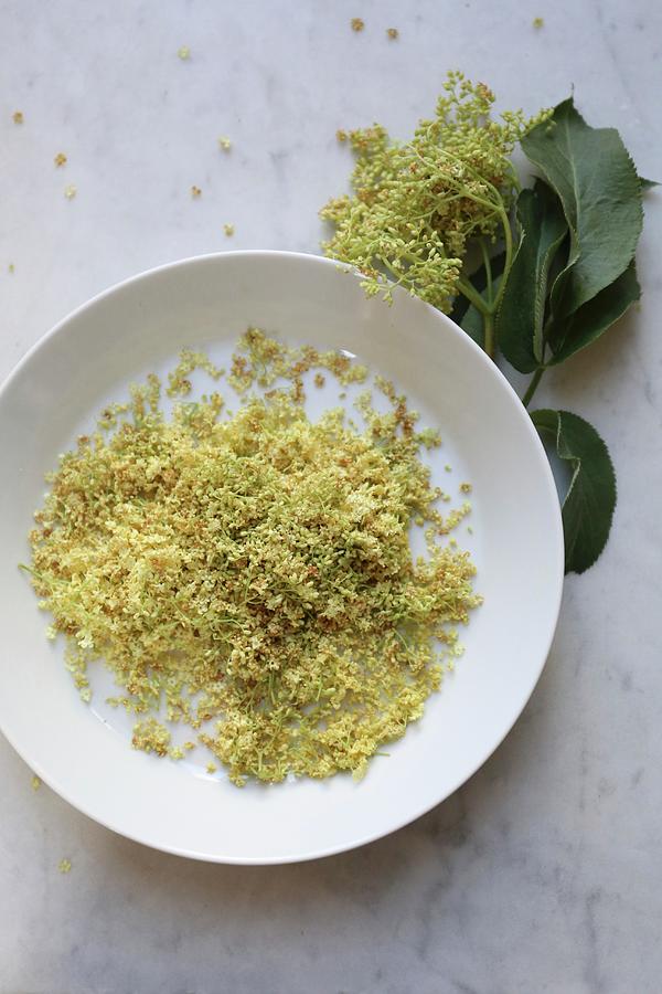 Wilted Elderflowers On A Plate seen From Above Photograph by Bayle Doetch