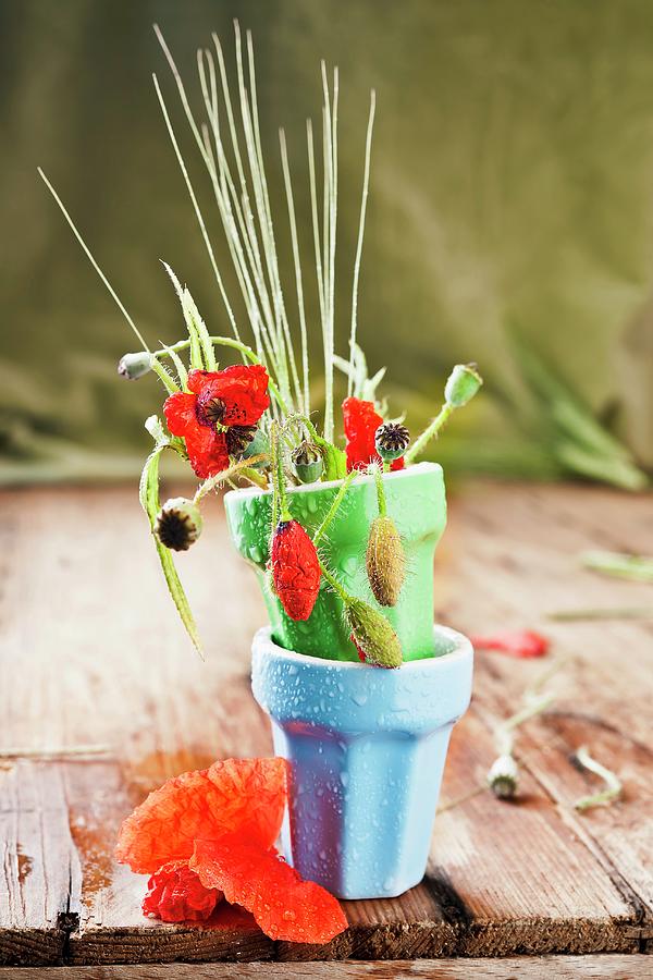 Wilted Poppies In Green Vase Photograph by Atelier Hmmerle