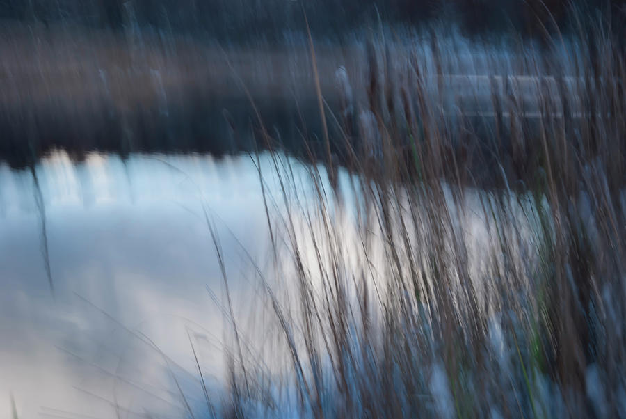 Impressionism Photograph - Wind Blown Reeds On Winter Day-5276 by Anthony Paladino