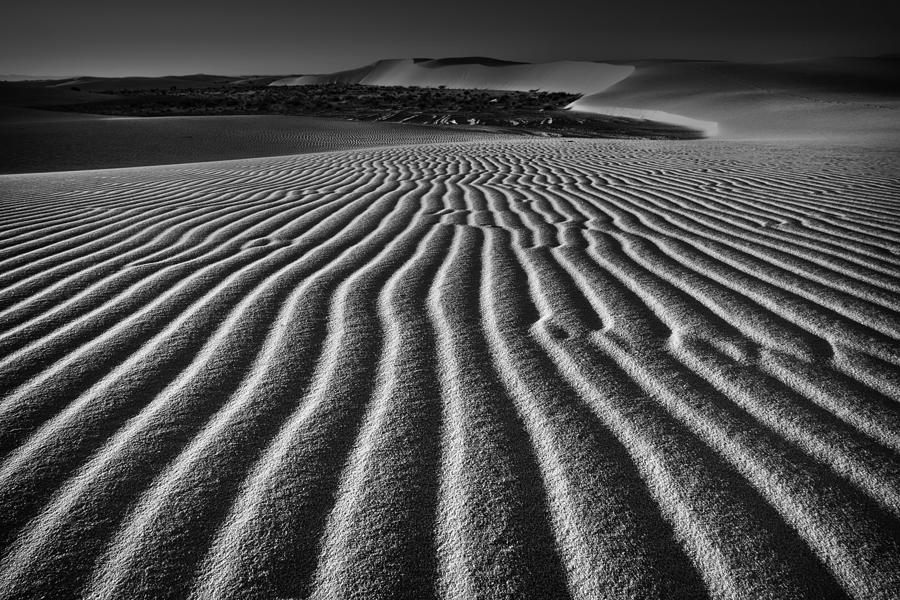 Wind Combed Sand Photograph by Lydia Jacobs