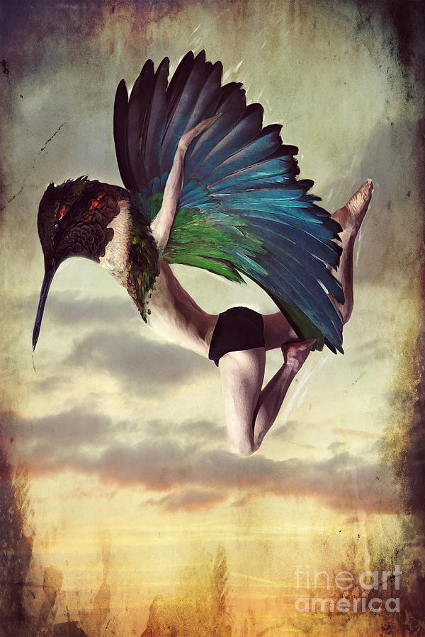 Wind Dancers Flight Digital Art by Marissa Maheras