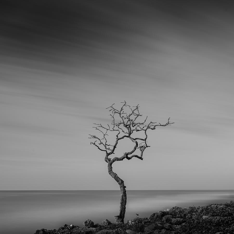 Beach Photograph - Wind by Estrada