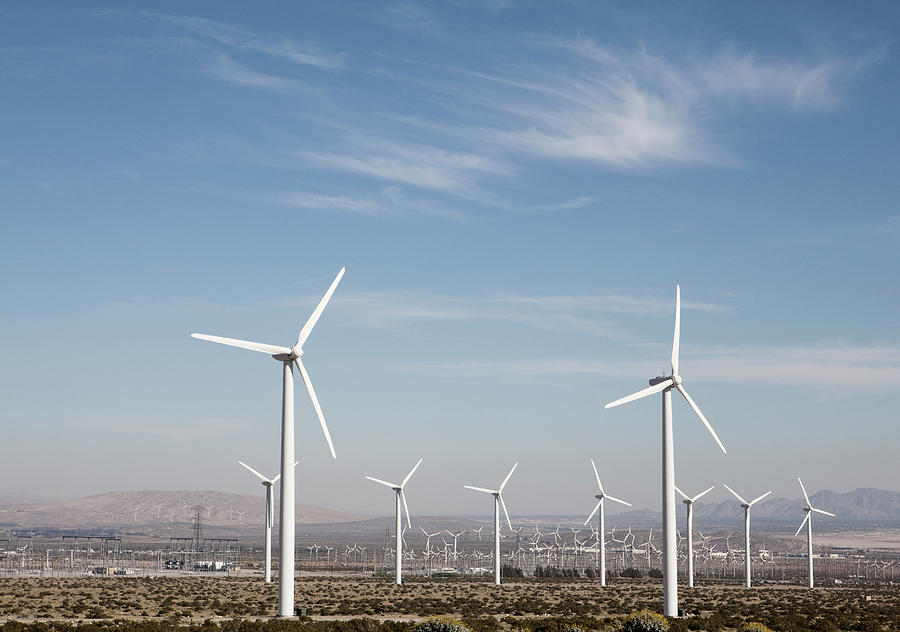 Wind Farm In The Dessert Photograph by Frank Rothe