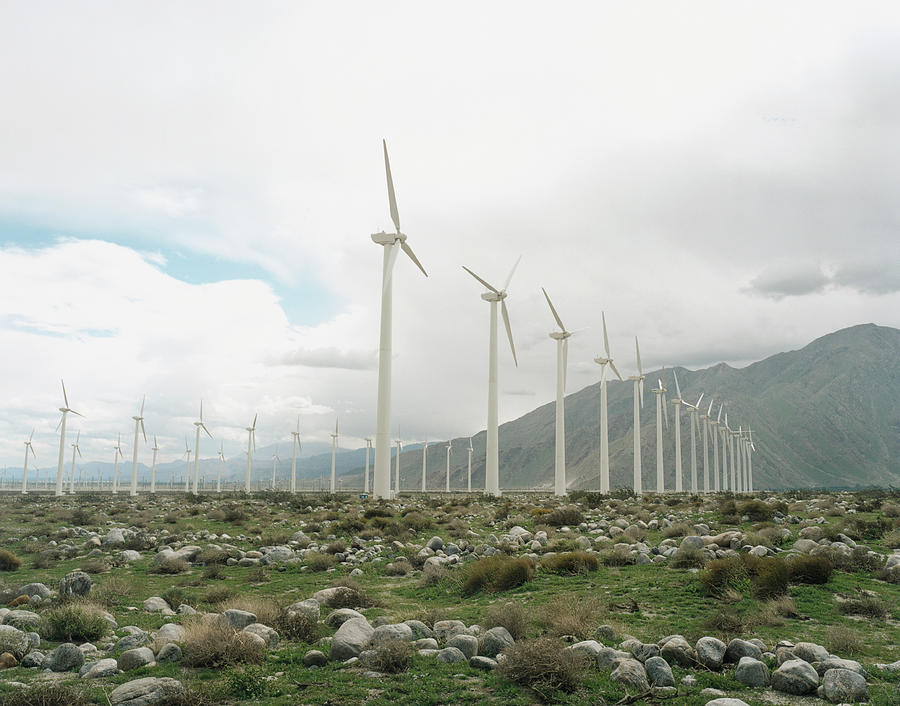Wind Farm Photograph by Silvia Otte