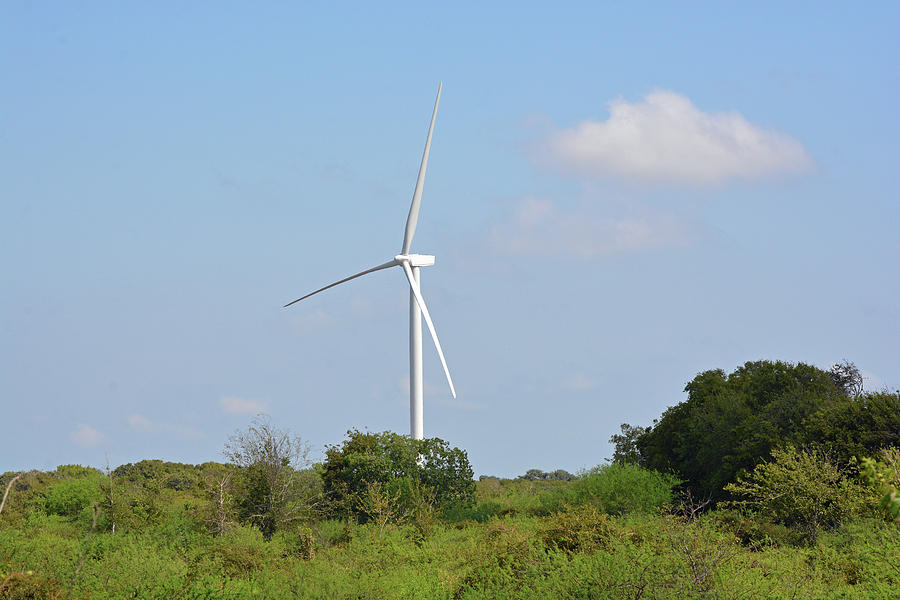 Wind Farming Photograph by Jimmie Bartlett