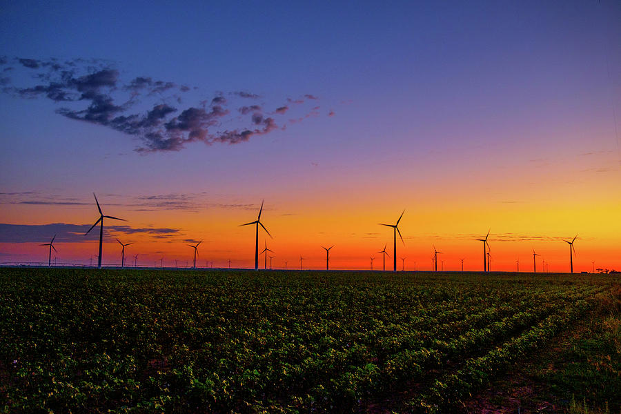 Wind Field Sunrise Photograph by Johnny Boyd