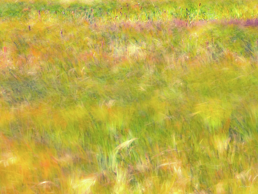 Nature Photograph - Wind Painting by Leland D Howard