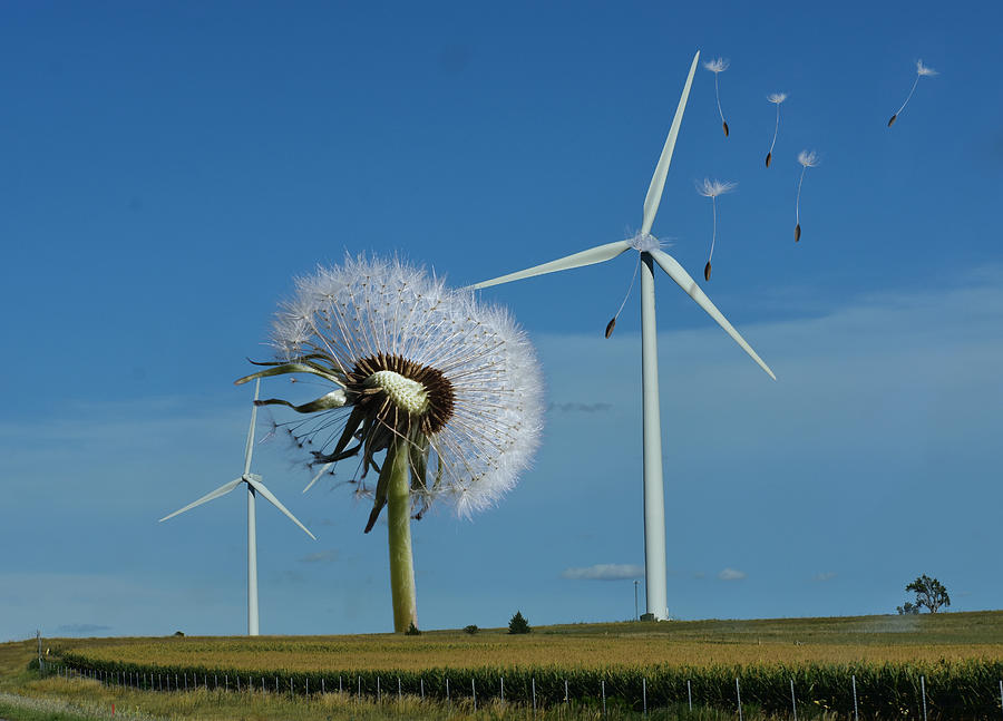 Wind Power Digital Art by Alex Mir