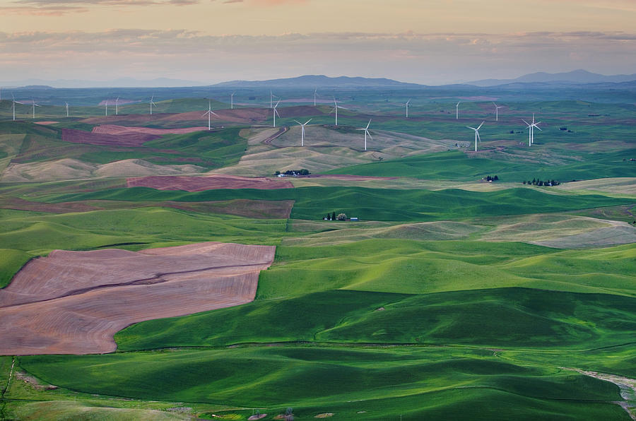 Wind Turbines Palouse Washington Photograph by Alan Majchrowicz