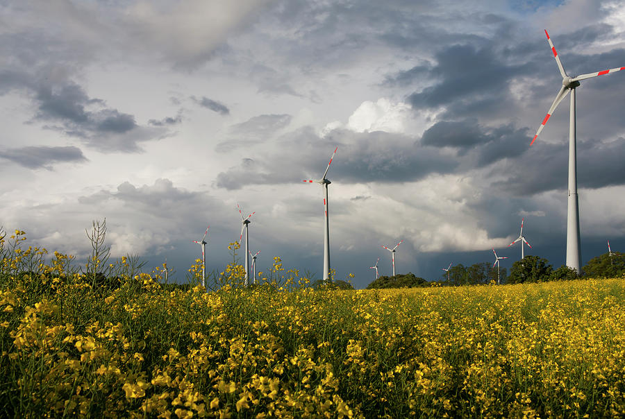 Wind Turbines Photograph by Typo-graphics