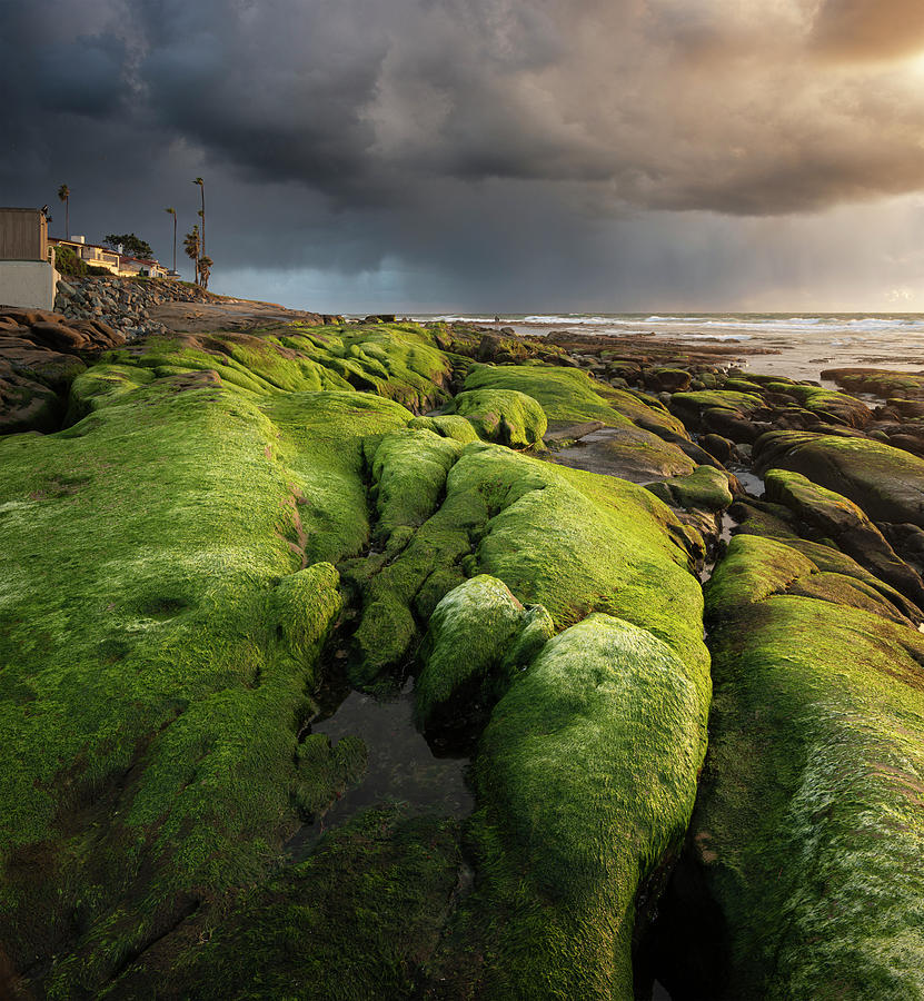 Windansea Rainy Sunset Photograph by William Dunigan