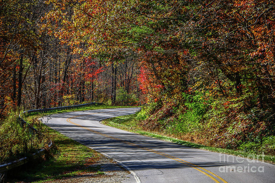 Winding Autumn Road Photograph by Tom Claud