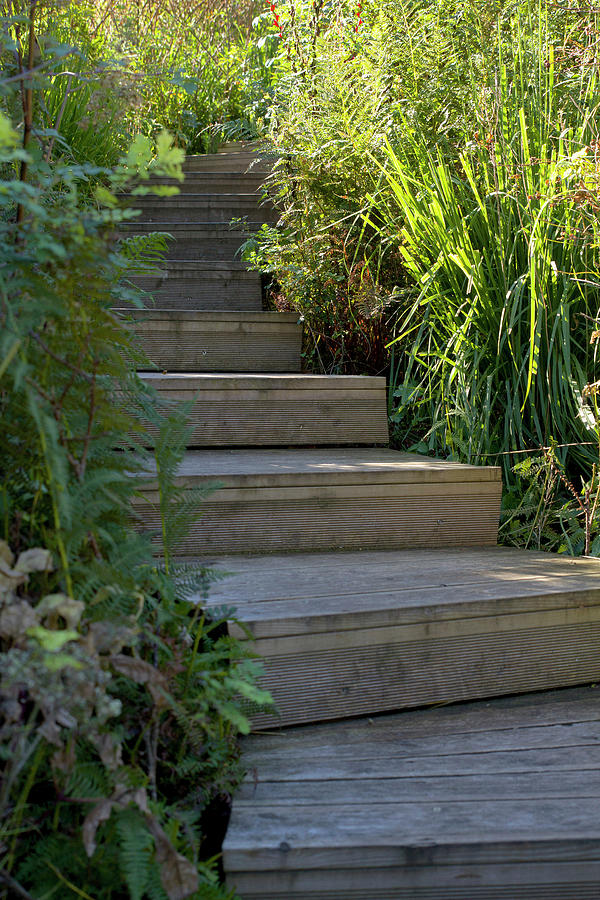 Winding Flight Of Wooden Steps In Garden Photograph by Angela Francisca Endress
