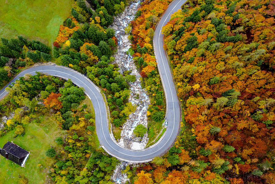 Fall Photograph - Winding Road by Jimmy Yang