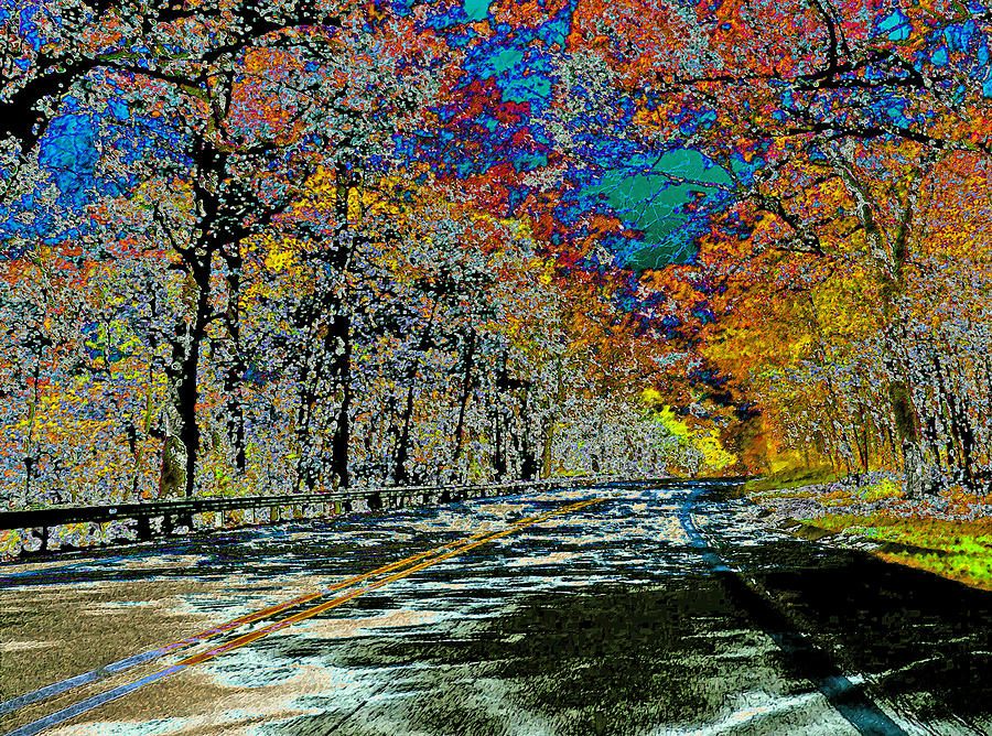Landscape Photograph - Winding Road by Kelly Council Landscape Photograph - Winding Road by Kelly Council