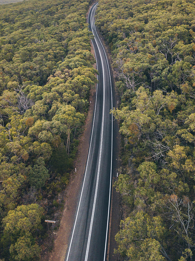 Mountain Photograph - Winding Road Through Lush Forest At The Grampians National Park, Victoria, Australia. by Cavan Images