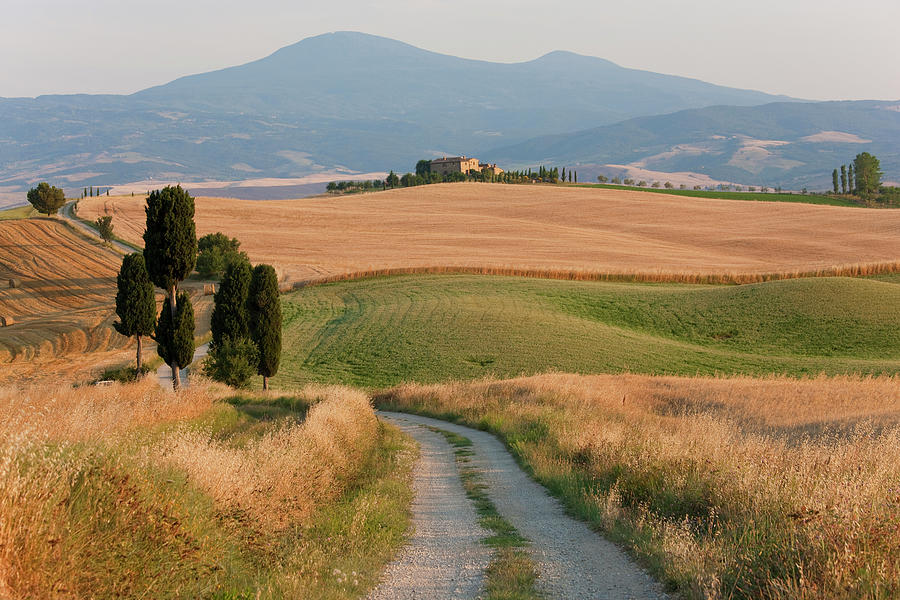 Winding Road, Val D Orcia, Tuscany Photograph by Peter Adams