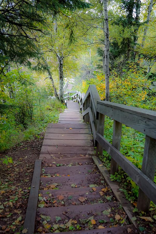 Winding Stairs in Autumn Photograph by Susan Rydberg