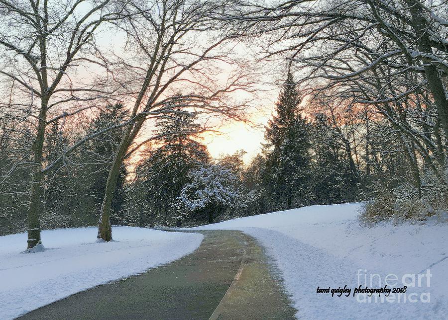 Winding Wintry Sunset  Photograph by Tami Quigley
