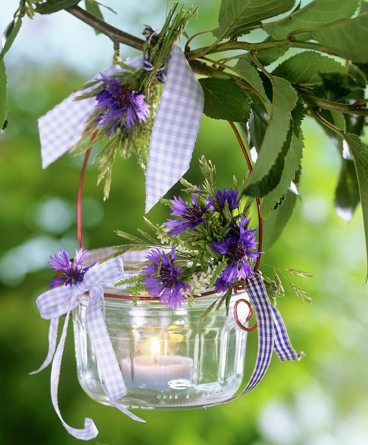Windlight With Cornflowers & White Melilot On Branch Of Cherry Tree Photograph by Friedrich Strauss
